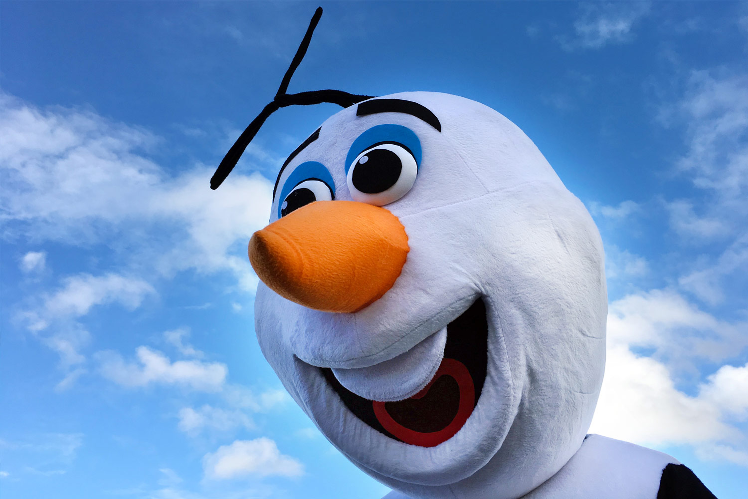 Where did our clients invest in January 2020?