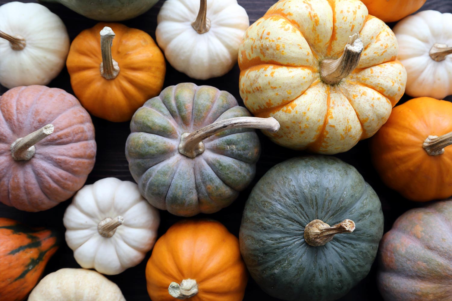 Where did our clients invest last month?