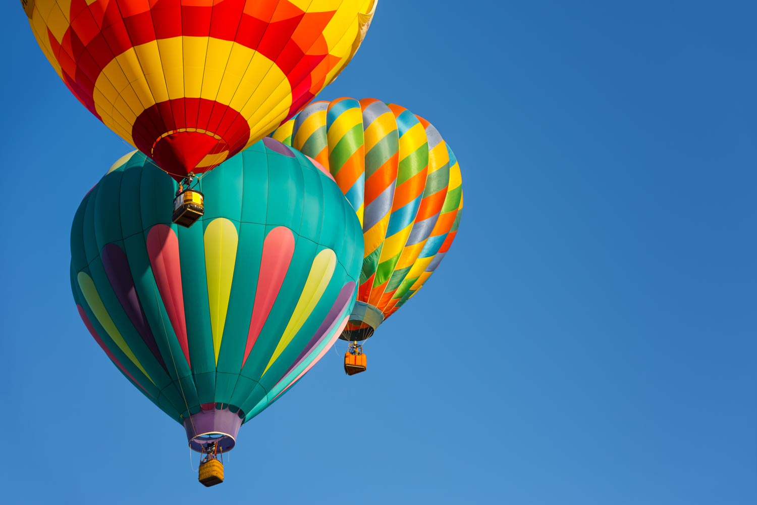 Where did our clients invest in February 2018?
