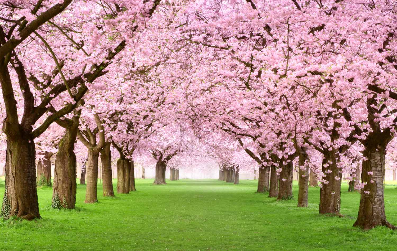 March market update – investors will enter spring in better spirits