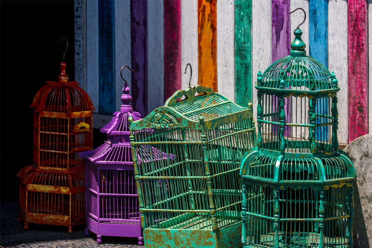 Are behavioural biases affecting your investment decisions?