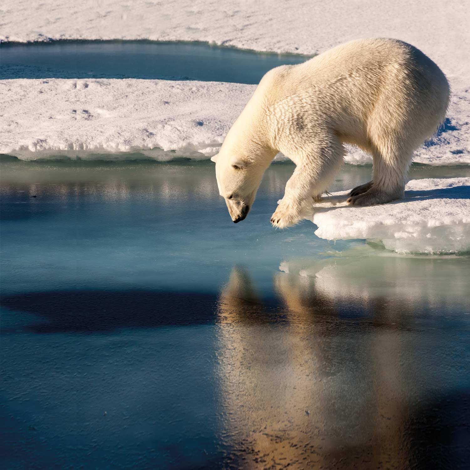 New guide – our top-rated ethical and sustainable investment funds