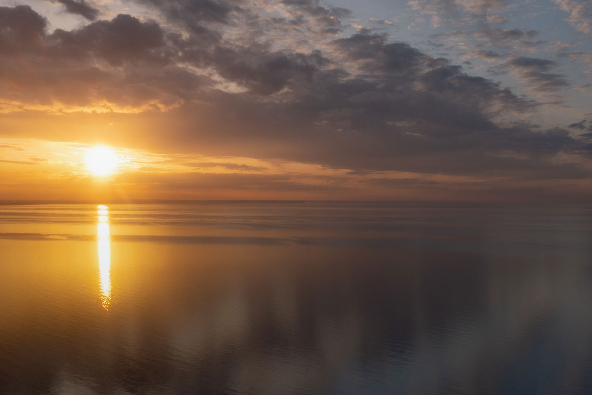 What are the advantages of early bird investing?