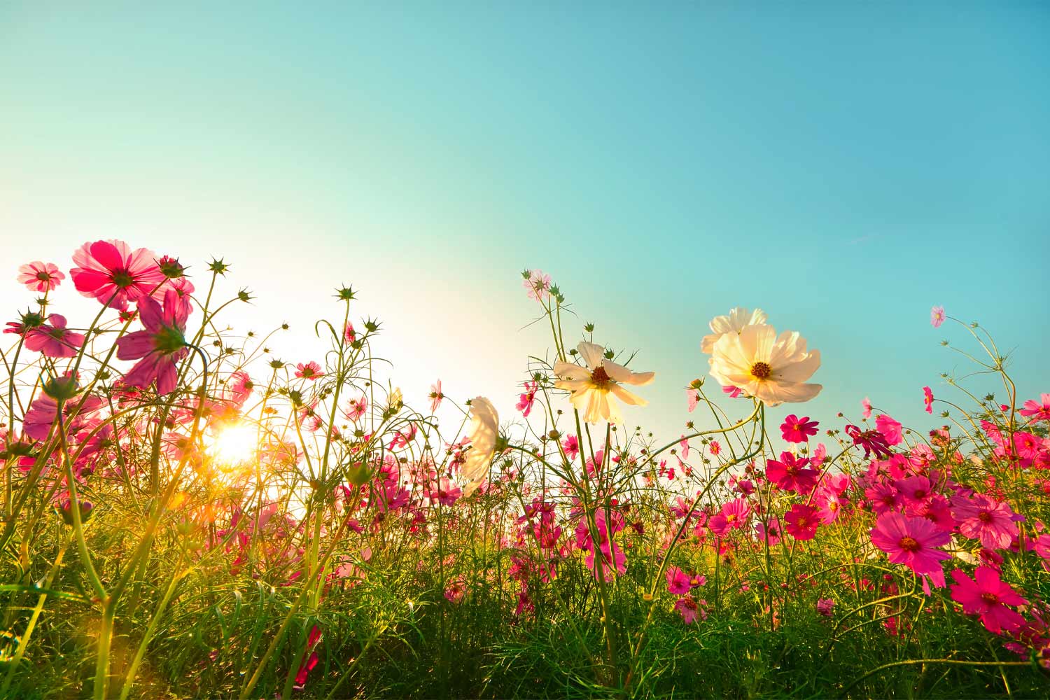 Should investors heed the 'sell in May' theory or hold out for a sizzling summer?