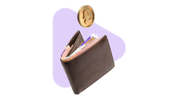Wallet Coin Image Content