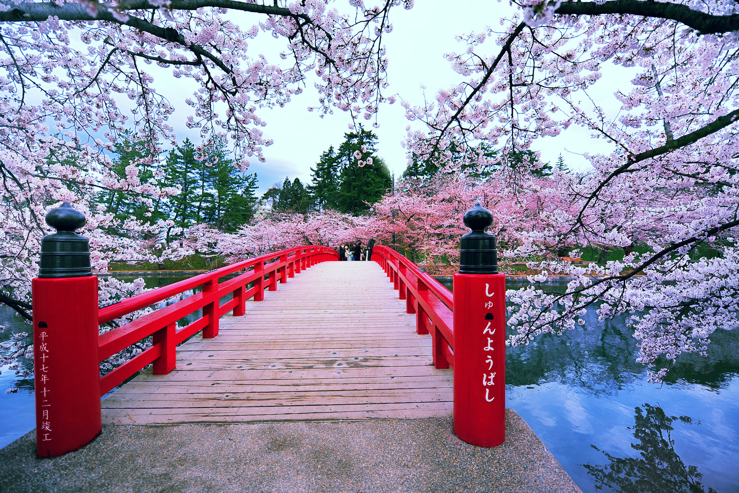 Japanese equities have a spring in their step – here’s why