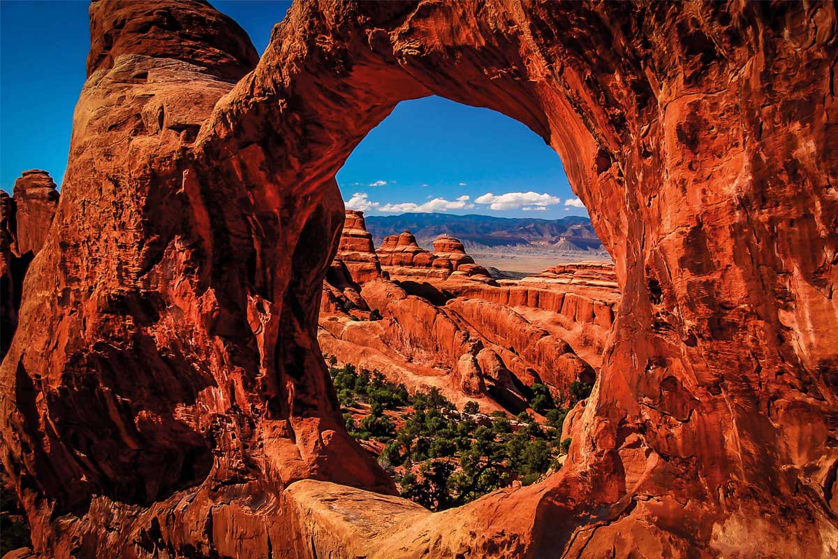 Investment bonds – what’s your exit strategy?