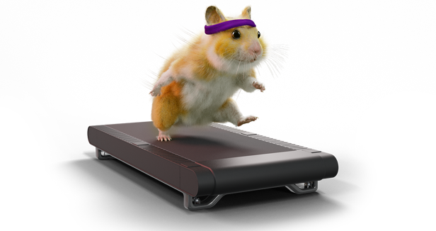 Hamster Runner 1140X600