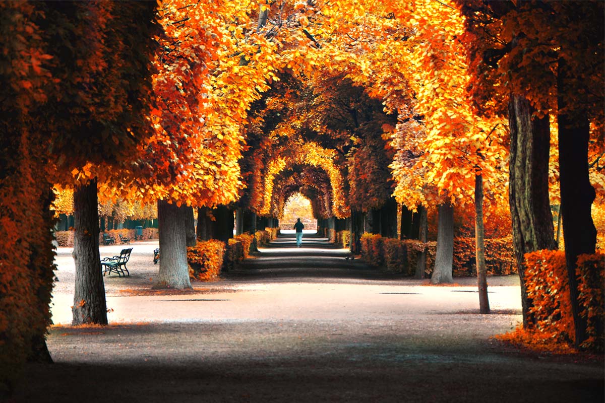 Where did our clients invest in October?