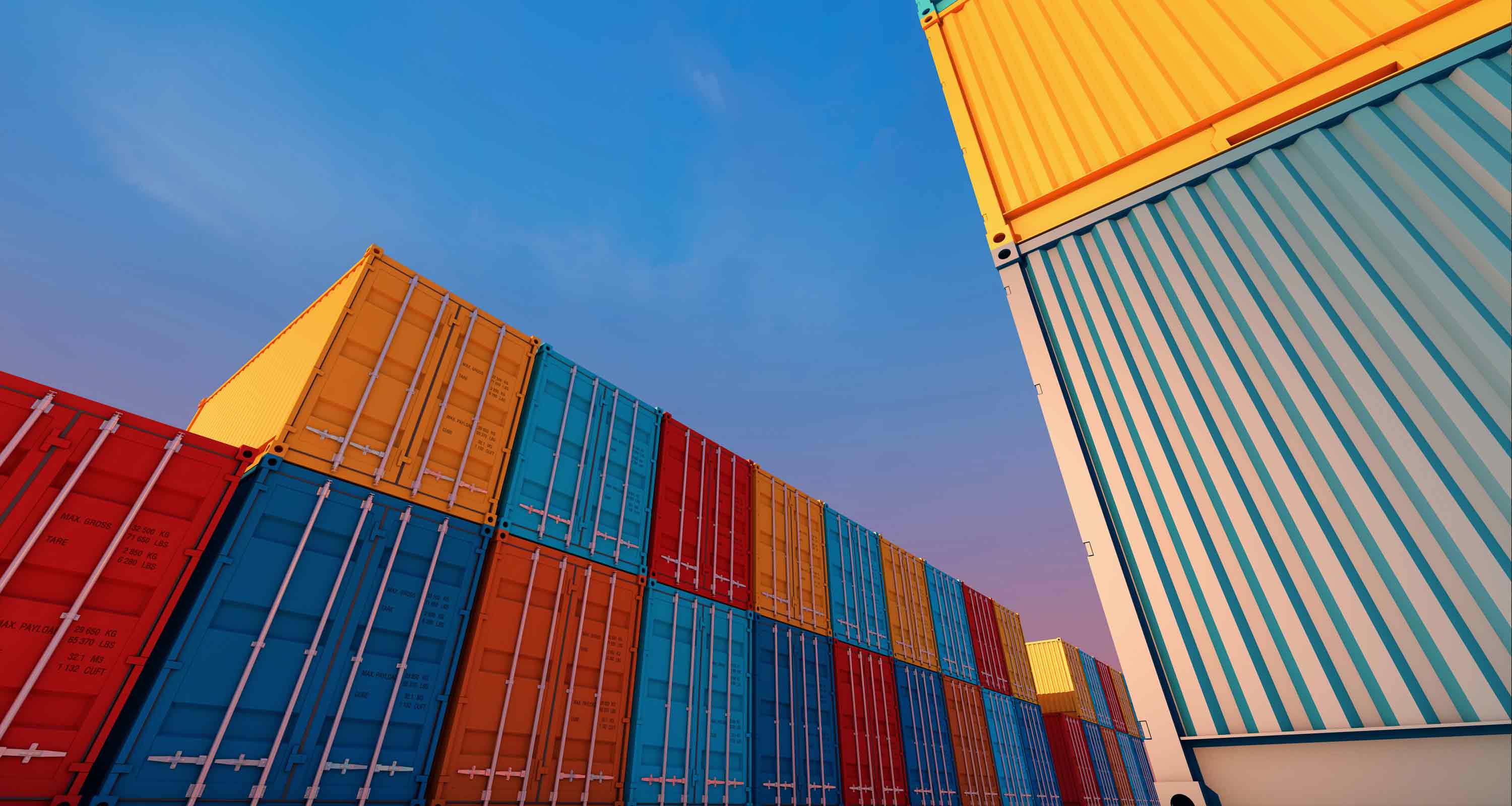The January Market Pulse