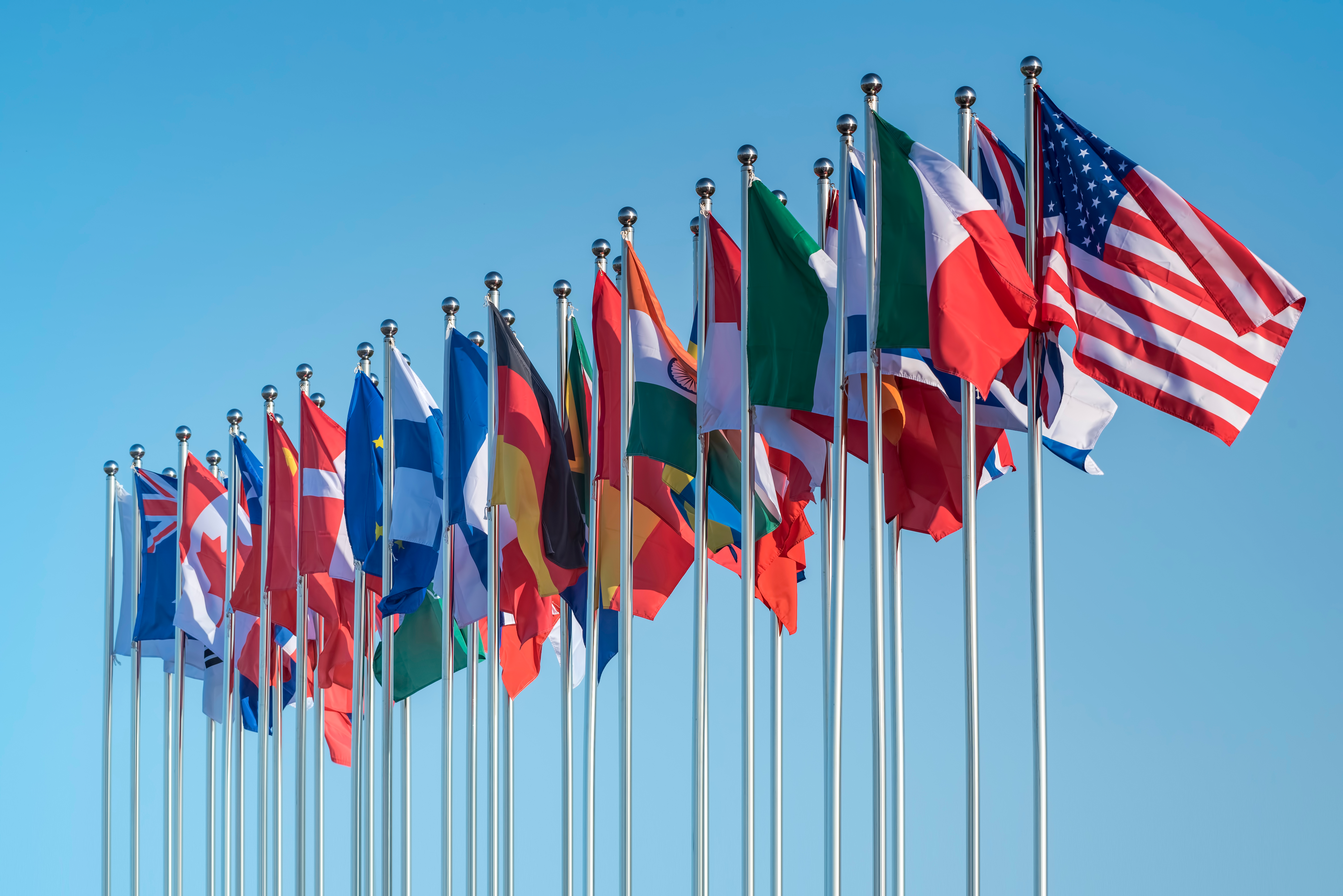 India, Commodities and North America top the best-performing fund sectors of 2021
