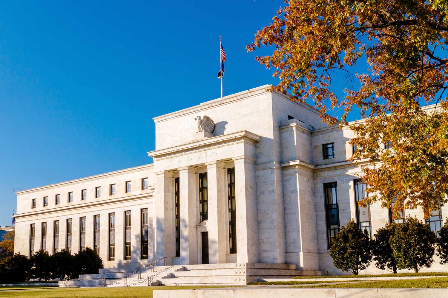 The July Market Pulse
