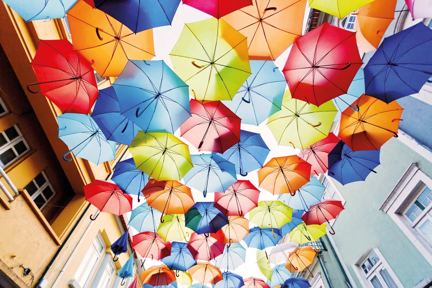January market update – global markets rebounded