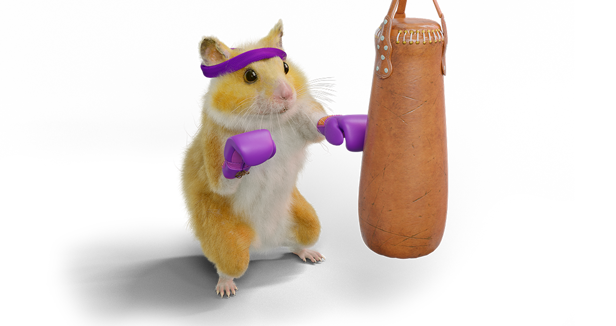 Hamster Boxer 1140X600